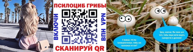 Купить Мценск Псилоцибиновые грибы GOLDEN TEACHER